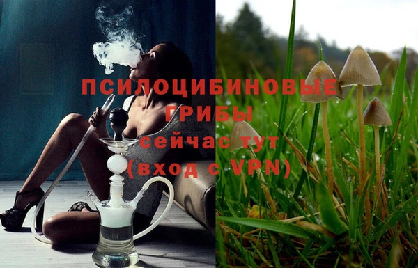 героин Новозыбков