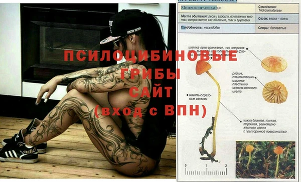 героин Новозыбков