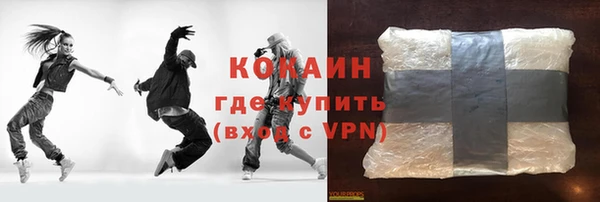 твердый Новодвинск