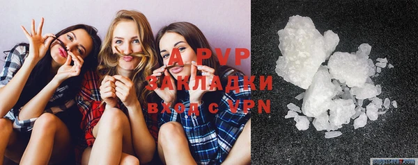 твердый Новодвинск