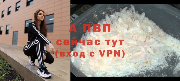 твердый Новодвинск