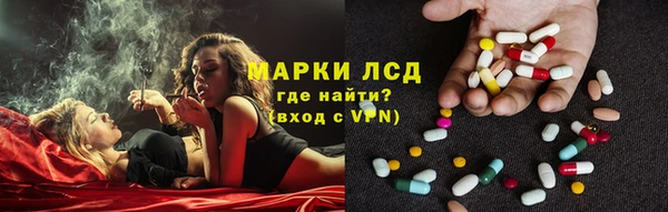 твердый Новодвинск