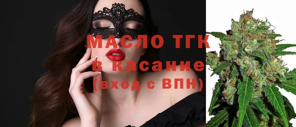 твердый Новодвинск