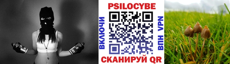 продажа наркотиков  Реж  Псилоцибиновые грибы Psilocybe 