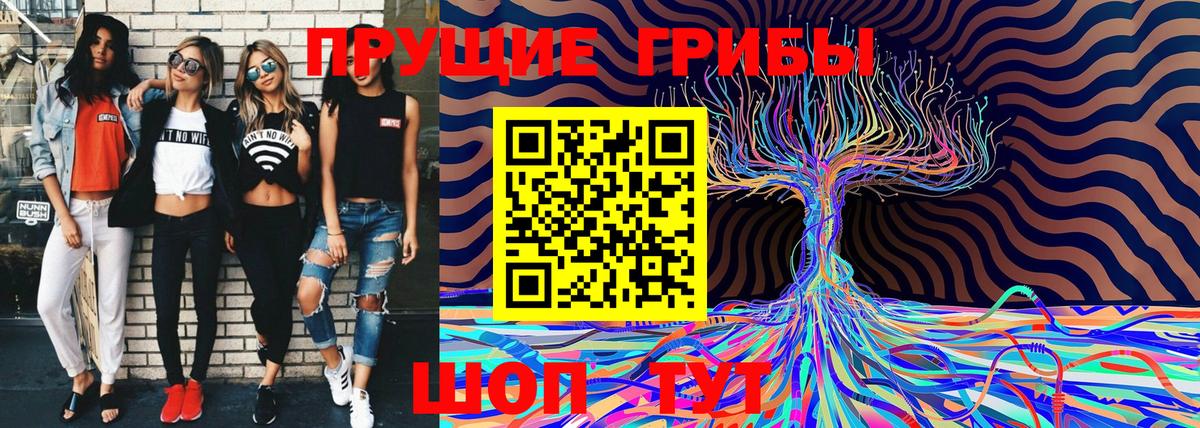 Реж  Псилоцибиновые грибы мухоморы  Вход с VPN 