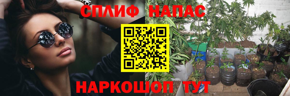 Канабис марихуана  Канабис Bruce Banner  Реж  Вход с VPN 